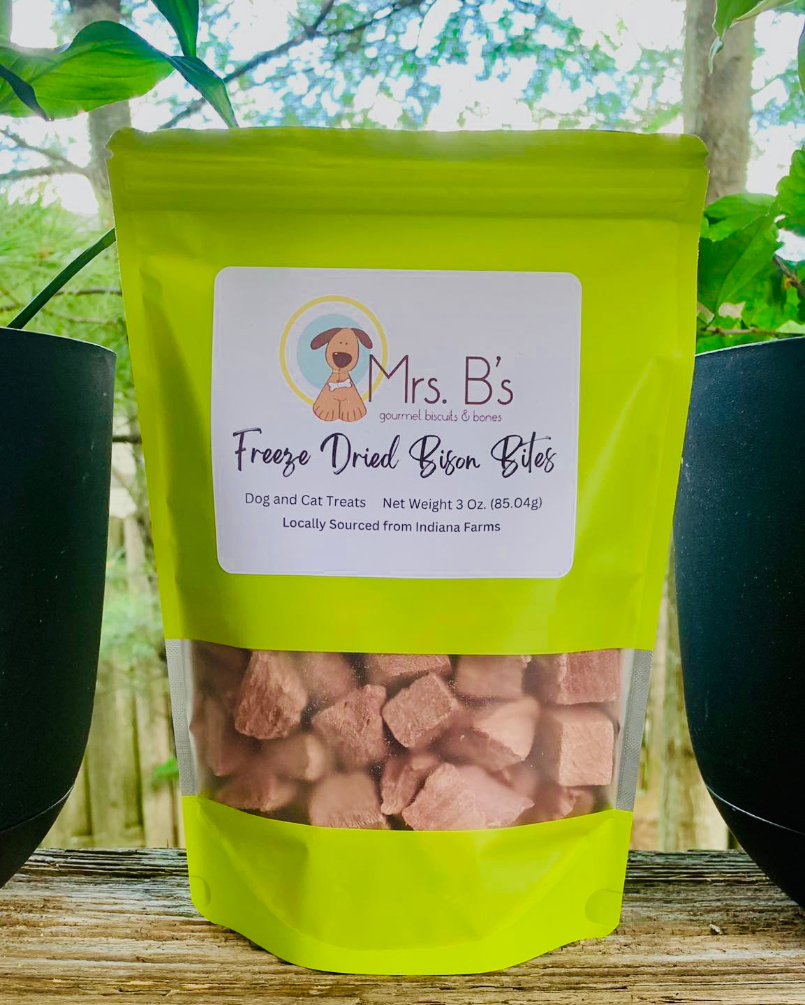 Freeze-Dried Bison 3 oz Bag image 1