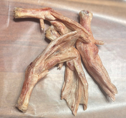 Freeze Dried Duck Feet Package of 10