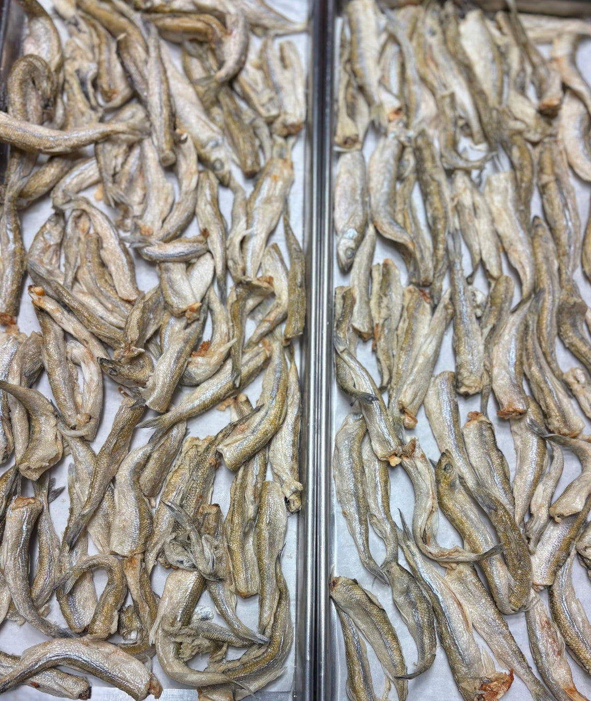 Freeze Dried Raw Smelt - 3 oz. Bag
